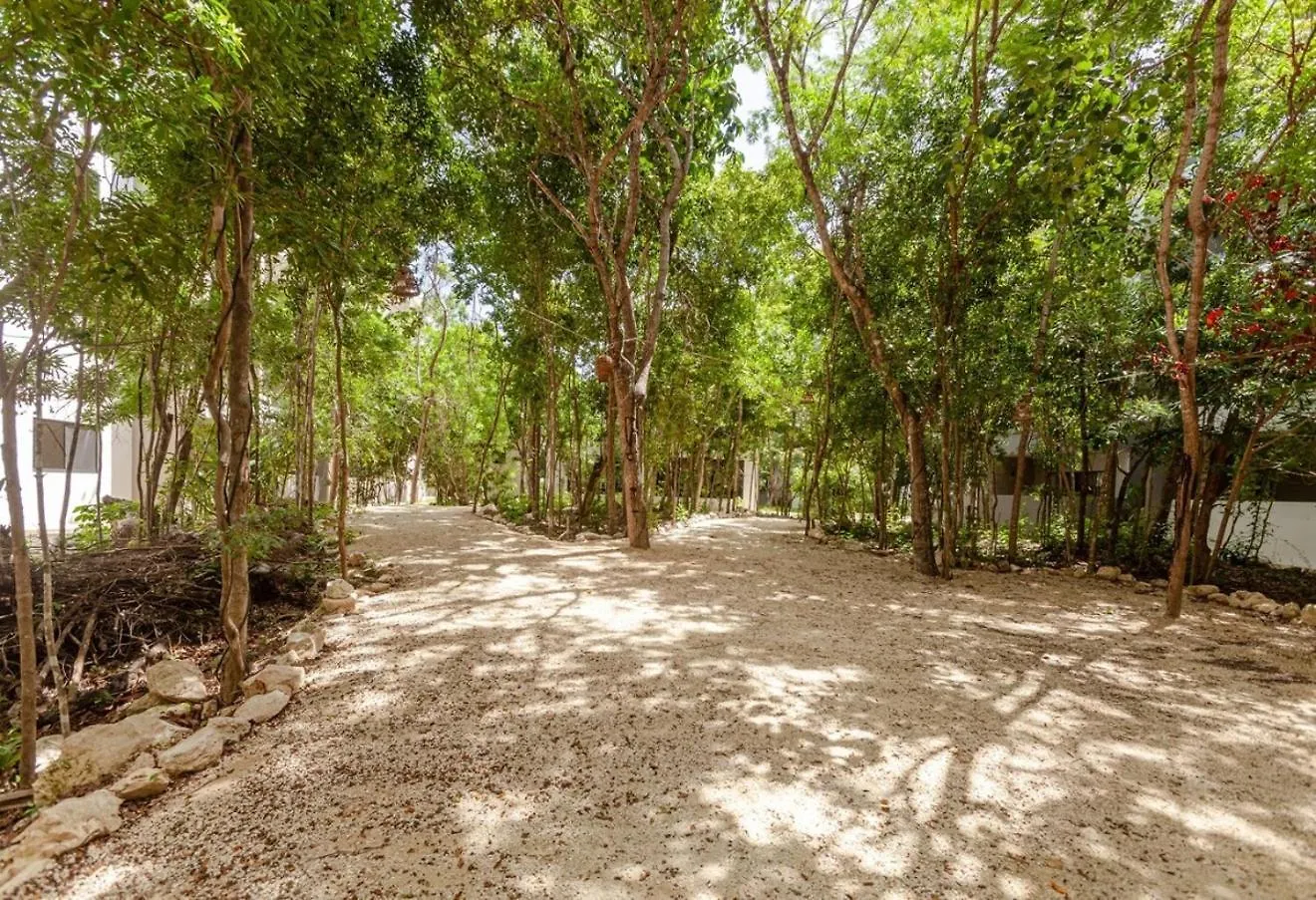 New! Condoph10Min To Beachwifi 300Mbgym6Pools Playa del Carmen Mexico